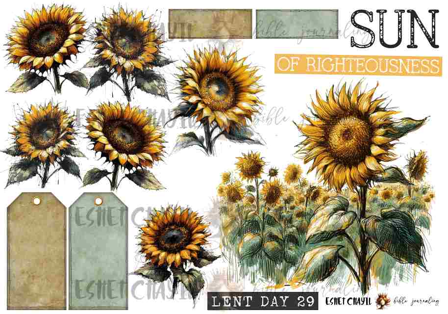 #LENT DAY 29 THE NAMES OF JESUS - ENGLISH