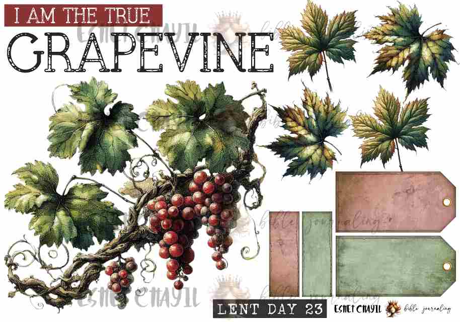 #LENT DAY 23 THE NAMES OF JESUS - ENGLISH